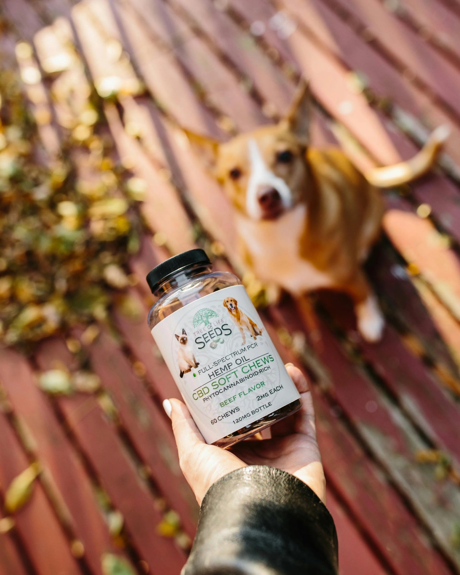 Pet Supplement, Pet Vitamins