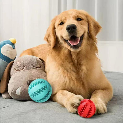 Interactive Dog Toy - Treat Dispensing Rubber Ball with Hemp Rope