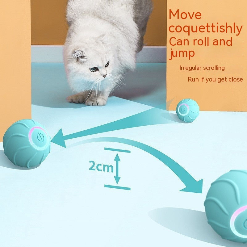 Smart Automatic Bouncing Cat Ball – Interactive Teaser