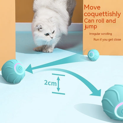 Smart Automatic Bouncing Cat Ball – Interactive Teaser