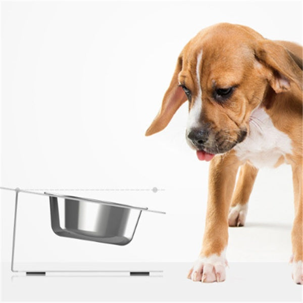 Anti-Spill Pet Feeding & Water Bowl