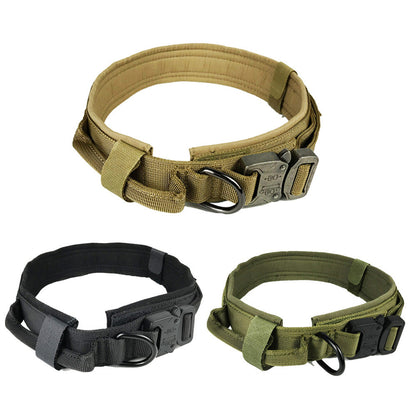 Durable Classic Dog Collar