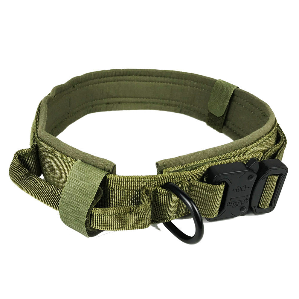 Durable Classic Dog Collar