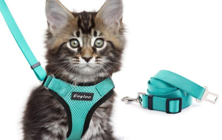 Escape-Proof Adjustable Cat Vest Harness