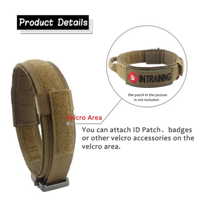 Durable Classic Dog Collar