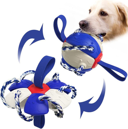 Inflatable Interactive Dog Soccer Ball – Training Made Fun