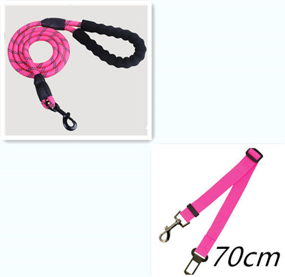 Reflective Nylon Dog Leash