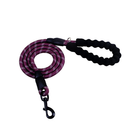 Reflective Nylon Dog Leash