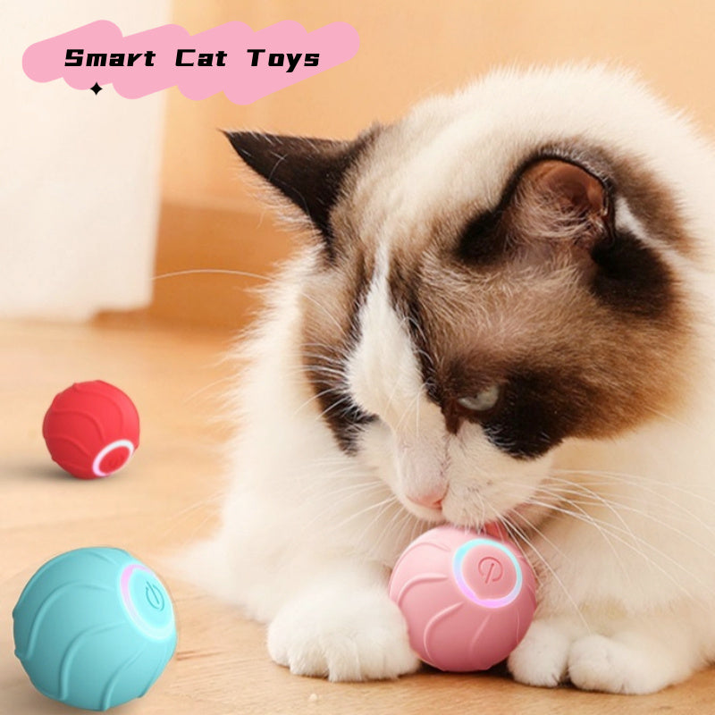 Smart Automatic Bouncing Cat Ball – Interactive Teaser