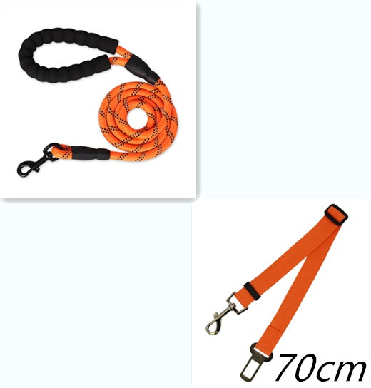 Reflective Nylon Dog Leash