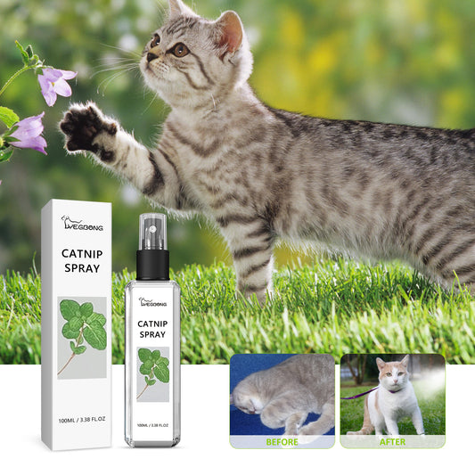 Cat Health Care Spray – Pet Vitality Formula