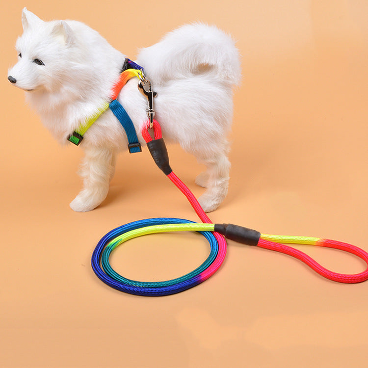 Colorful Nylon Pet Leash