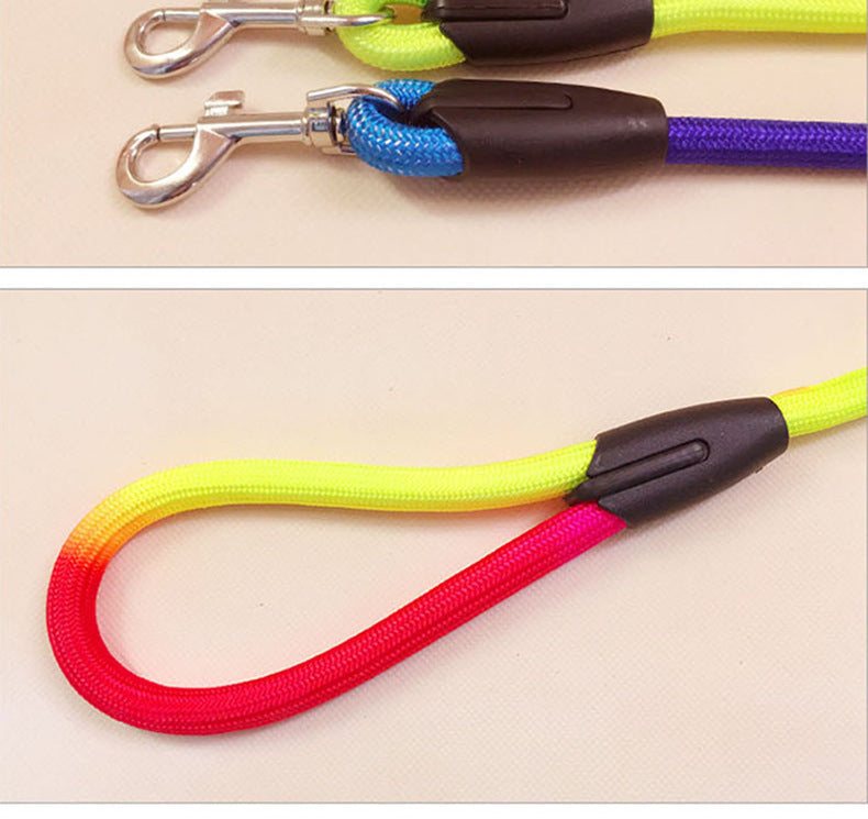 Colorful Nylon Pet Leash