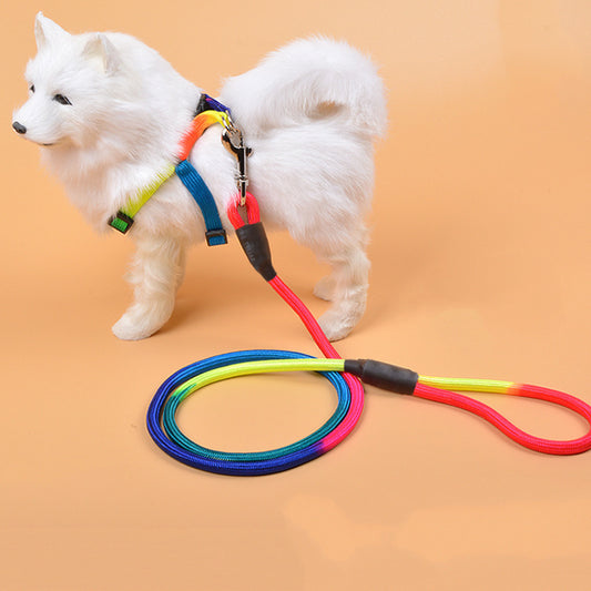 Colorful Nylon Pet Leash