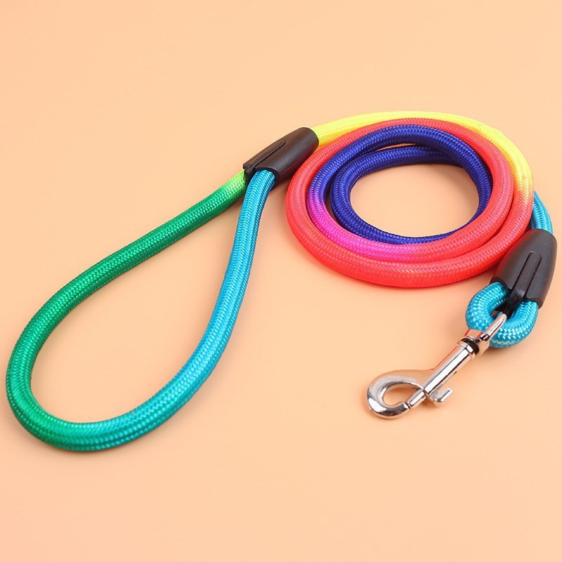 Colorful Nylon Pet Leash