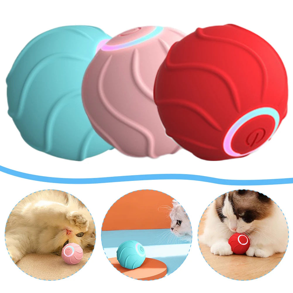 Smart Automatic Bouncing Cat Ball – Interactive Teaser