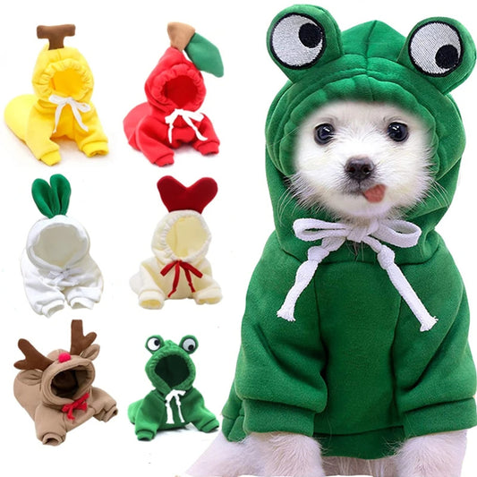 Cute Fruit Print Dog Hoodie