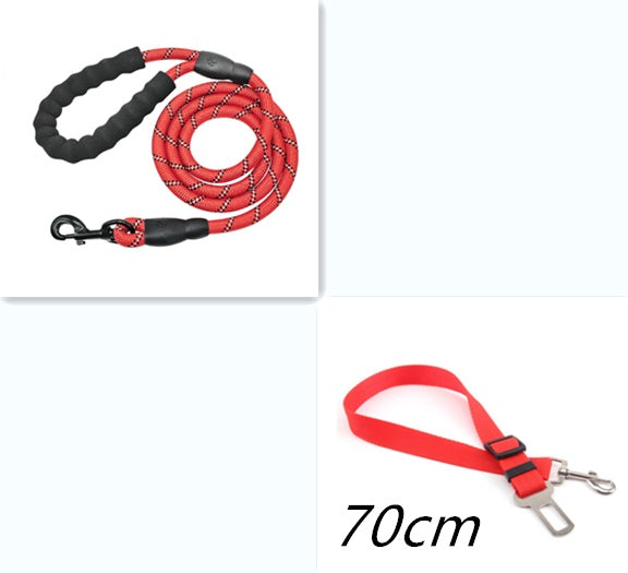 Reflective Nylon Dog Leash