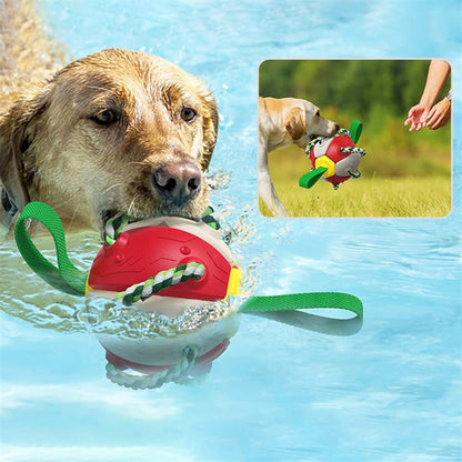 Inflatable Interactive Dog Soccer Ball – Training Made Fun