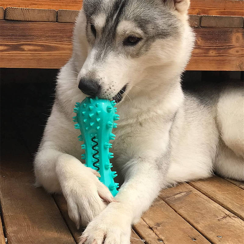 Rubber Chew & Cleaning Dog Toy – Dental Care for Aggressive Chewers