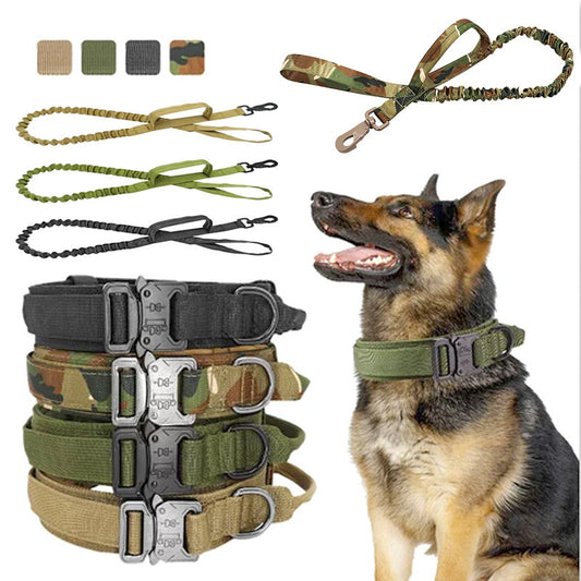 Adjustable Military Nylon Collar & Leash Set