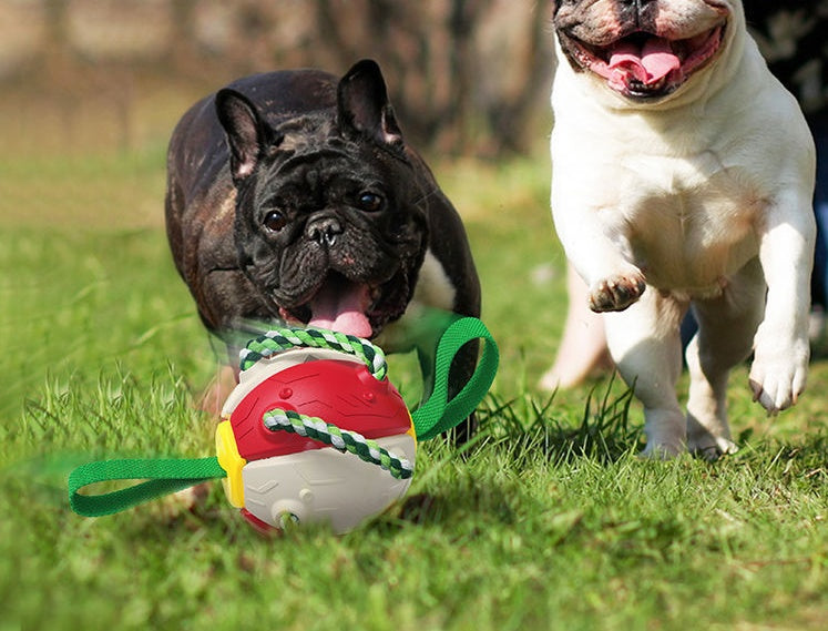 Inflatable Interactive Dog Soccer Ball – Training Made Fun